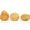 Spugna di Mare Naturale Greca - Delicata Spugna di Mare Naturale Greca Favo – Neonati, Bambini e Adulti