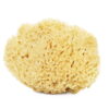 Spugna di Mare Naturale Greca - Grande Spugna di Mare Naturale Greca Favo – Neonati, Bambini e Adulti