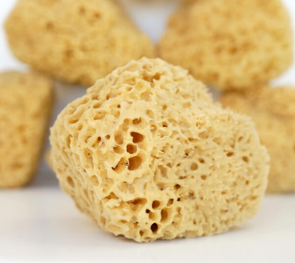 Spugna di Mare Naturale Greca Grande Delicata per Bambini e Adulti Spugna di Mare Naturale Greca Favo – Neonati, Bambini e Adulti